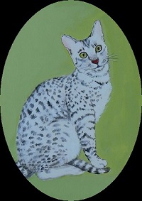A Portrait of Gib as an adult cat, in the style of an Elizabethan miniature.