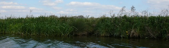 The side of a river.