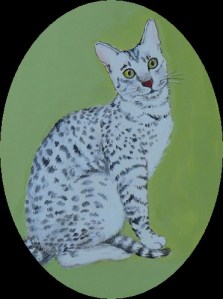 A miniature painting of Gib, the Earl's cat. Gib is white with blue-grey dapples, and green eyes - enhanced by the green background of the painting.