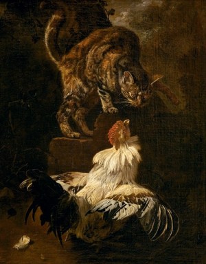 A cat looking at a rooster with great interest.