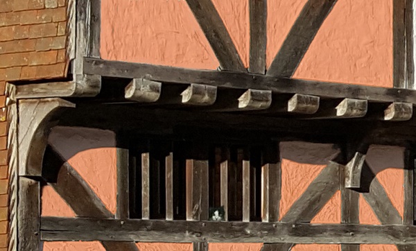A black and white cat peering through an unglazed window in a timbered Elizabeth house.