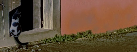 The back view of a seated cat with unusual irregular dark markings..