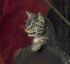 A grey tabby cat, peering eagerly over the back of a chair.